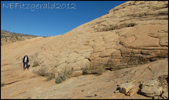 IMG_0701PolygonsInNavajoSanstone