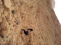 20120219_120711.jpg