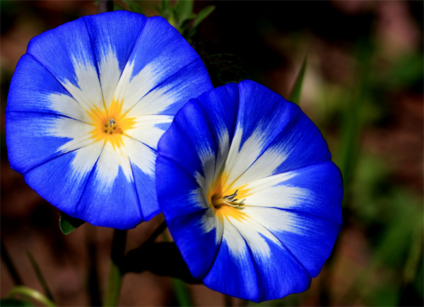 [image%255B12%255D.png]