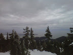 Hollyburn Peak (from cross country ski area)