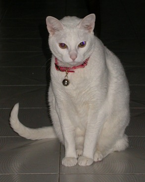 [119%255B5%255D.jpg]