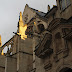IMG_6464.JPG