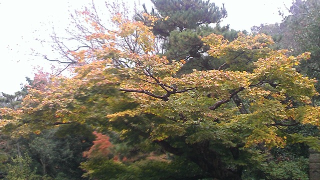 [IMAG04633.jpg]