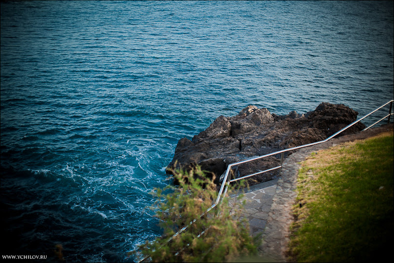 103 www.ychilov.ru foto tenerife.jpg