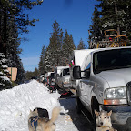 2013 Sled Dog Races 2013 Sled Dog Races