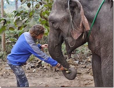 Laos Luang Prabang Elephant mahout course 140202_0104