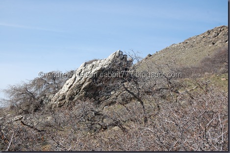 DSC_0997 DSC_0997