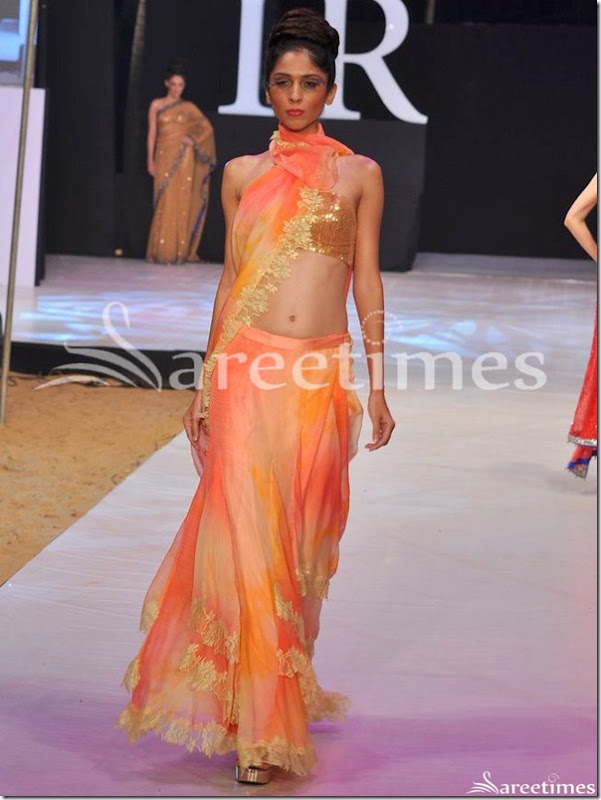 Neeta_Lulla_Saree