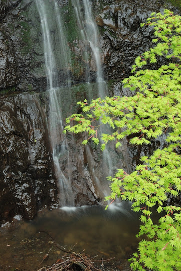布滝