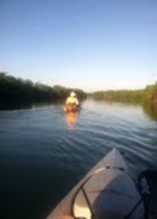 vic in mangroves