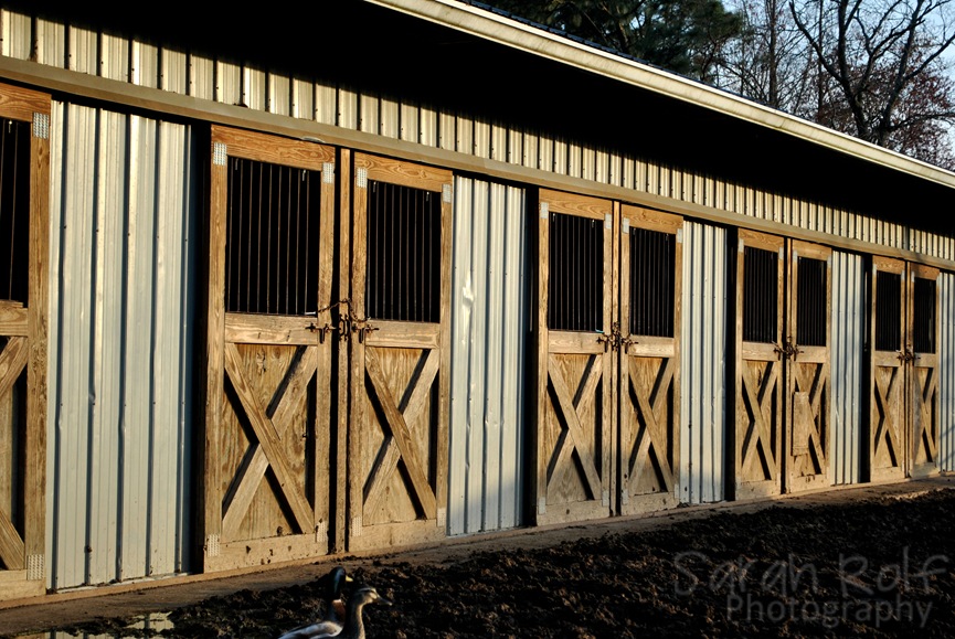 [horse-stalls%255B1%255D.jpg]