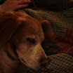 IMG_4546.JPG