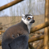 Cub Pack Holiday - Skreens Park 2012 - DSC_0197.jpg