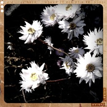 12. flowers