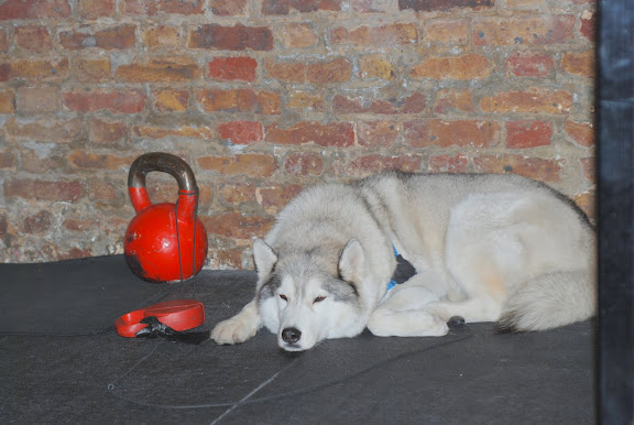DSC_0570.JPG