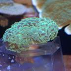 DSC_2132.jpg