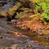 Little Carp River in the Fall # 2 / Porcupine Mountains / Upper Michigan