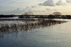 Hochwasser am Breiten Wasser im Teufelsmoor