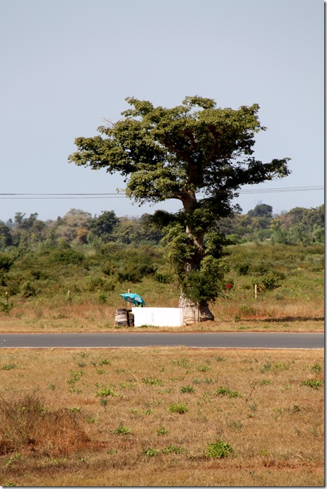Track control under the baobab