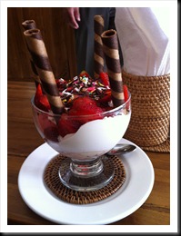 IMG_0905 IMG_0905