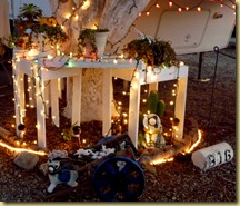 2011-12-22 - AZ, Yuma - Cactus Gardens, Our Christmas Decorations (5)