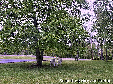 Front Porch 2 008