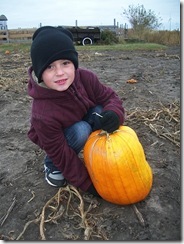Landon pumpkin