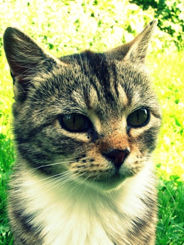 [summer20111%2520508%255B4%255D.jpg]
