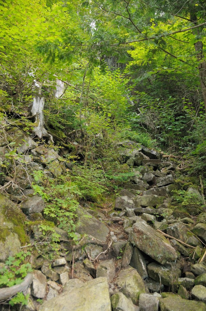 小秀山登山道