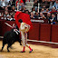 corrida_picassiana_09.jpg
