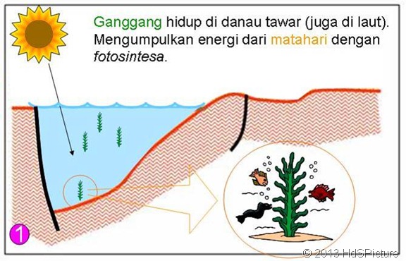 proses pembentukan minyak bumi 1