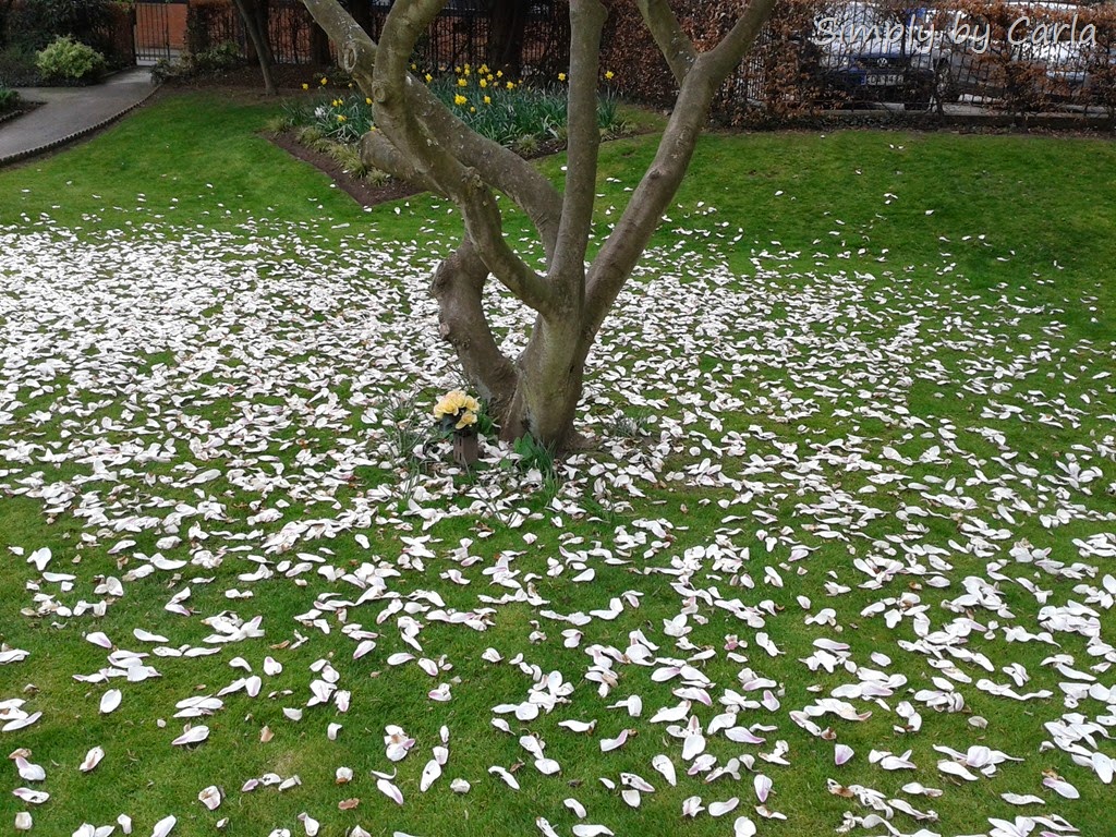 [20140402_135155%255B16%255D.jpg]