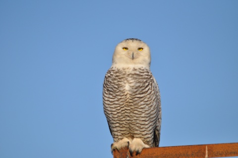 DSC_0107.jpg DSC 0107