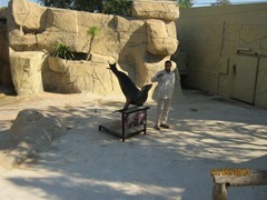 IMG_3451 IMG_3451
