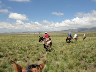 We all had great horses, well maintained and well trained. Some had lovely names like TuYo (Yours and Mine) and Nosy.