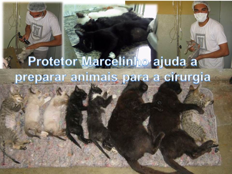 [marcelinho_protetor23.jpg]