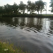 IMG_1866.jpg