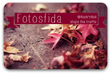 fotosfida banner fotosfida banner