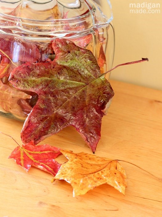 [how-to-preserve-fall-leaves-with-decoupage-04%255B4%255D.jpg]
