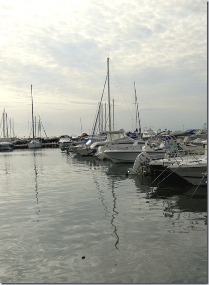 DSCN0505 DSCN0505
