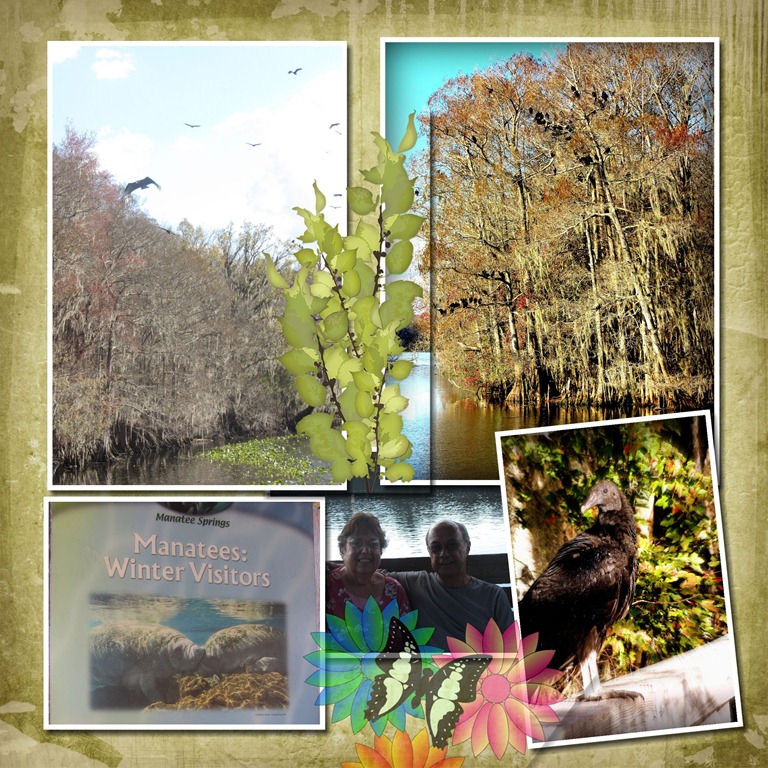 [Manatee-Springs-SP-FL-0073.jpg]
