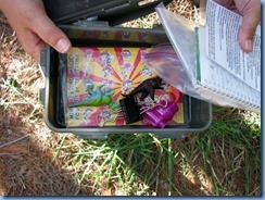 4929 Laurel Creek Conservation Area - evening walk - Geocache sitting in a Pine Stand