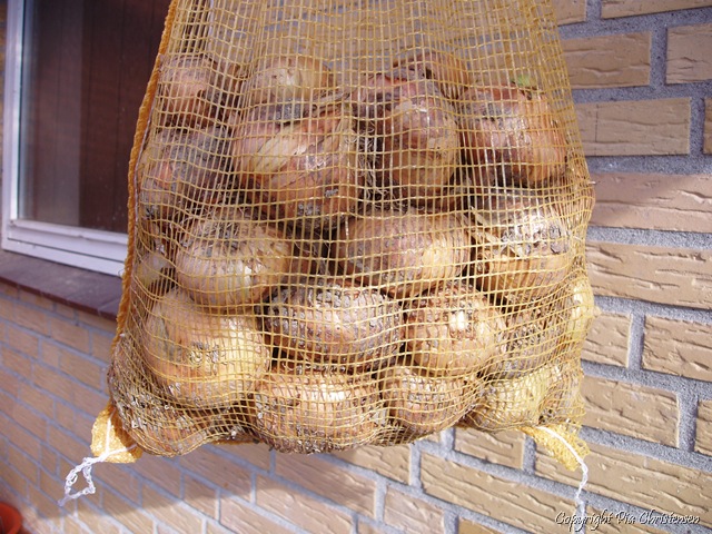 [P92176333.jpg]