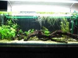 aqa20120224 002.jpg