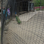 P1090690.JPG