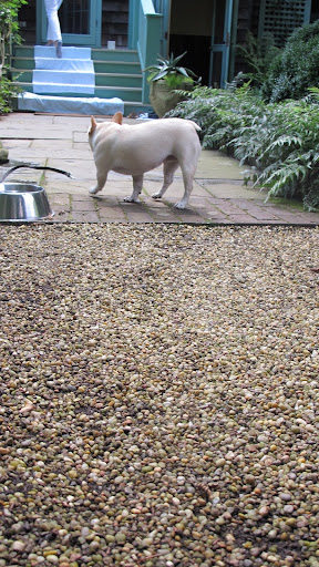 Well, it's been a very busy weekend in East Hampton.  We've been constantly on the go and I haven't had much down time.