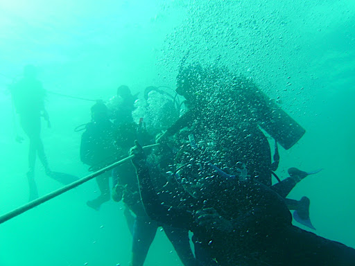 Hanging out on the anchor line