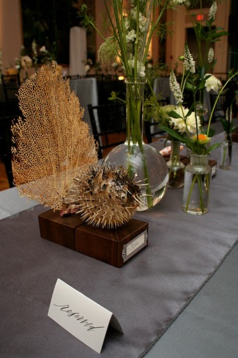 More specimens and unique glassware. More specimens and unique glassware.