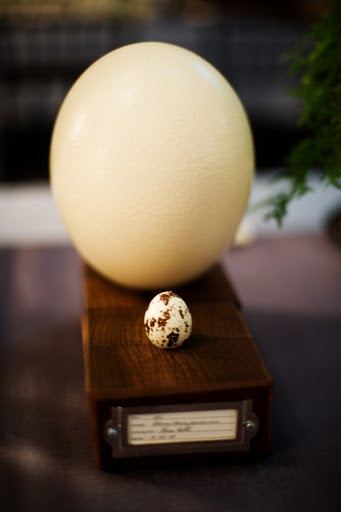 Two egg specimens, crafted by the bride. Two egg specimens, crafted by the bride.