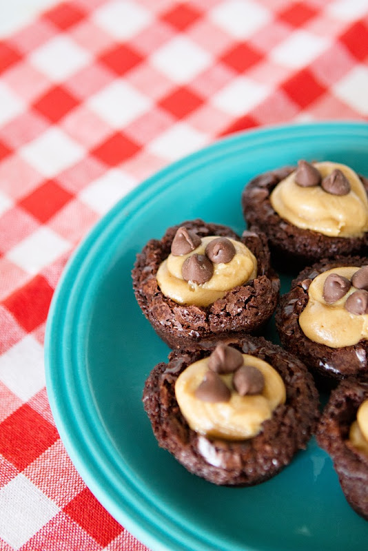 Peanut Butter Brownie Mini Bites Recipe Peanut Butter Brownie Mini Bites Recipe